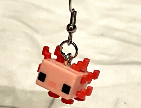 The final product is an adorable monster earring that your friends will love.