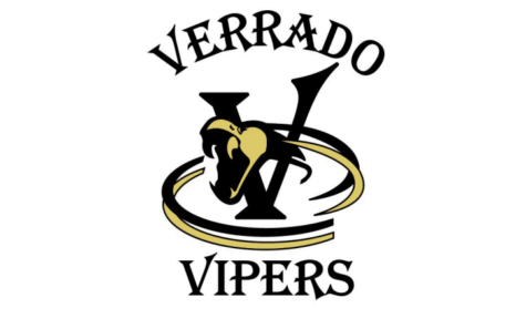 Developing Our Viper Culture