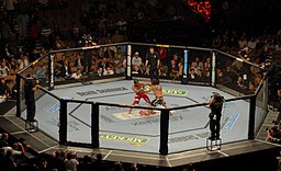 UFC bouts always draw a huge audience and pack a punch.