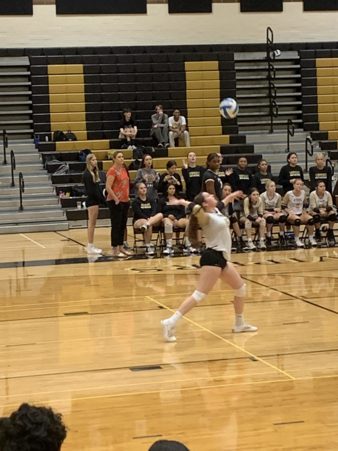 Viper Volleyball crushes the completion at a recent match. 