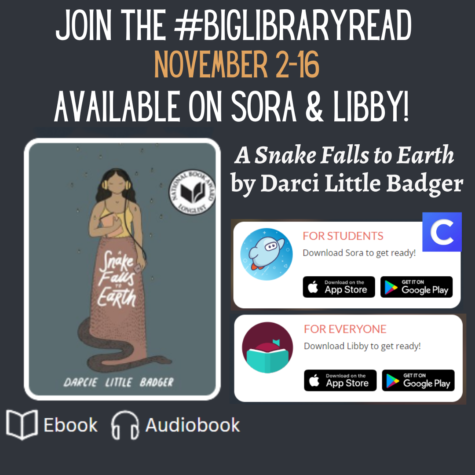 Promo Poster for the #BigLibraryRead that offers a free title on Nov. 2nd.