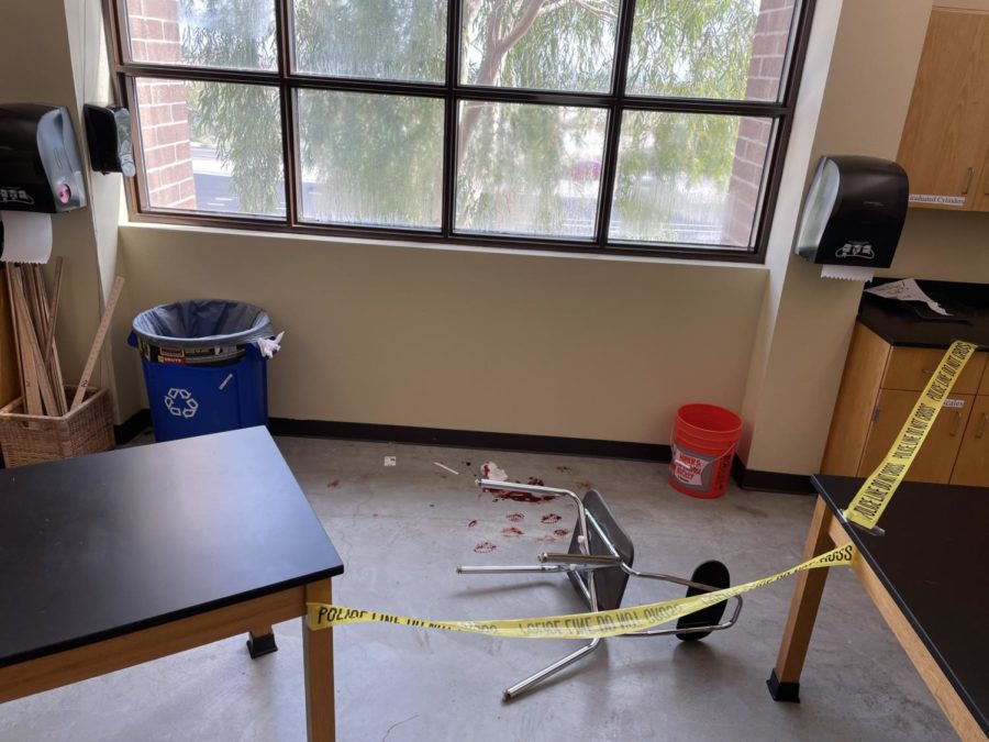 Mrs. Sherman sets up an intriguing scene in the corner of the lab.