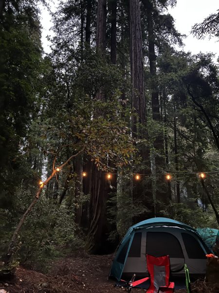 Camping tent with fairy lights at Memorial Park Campground in 2023. 