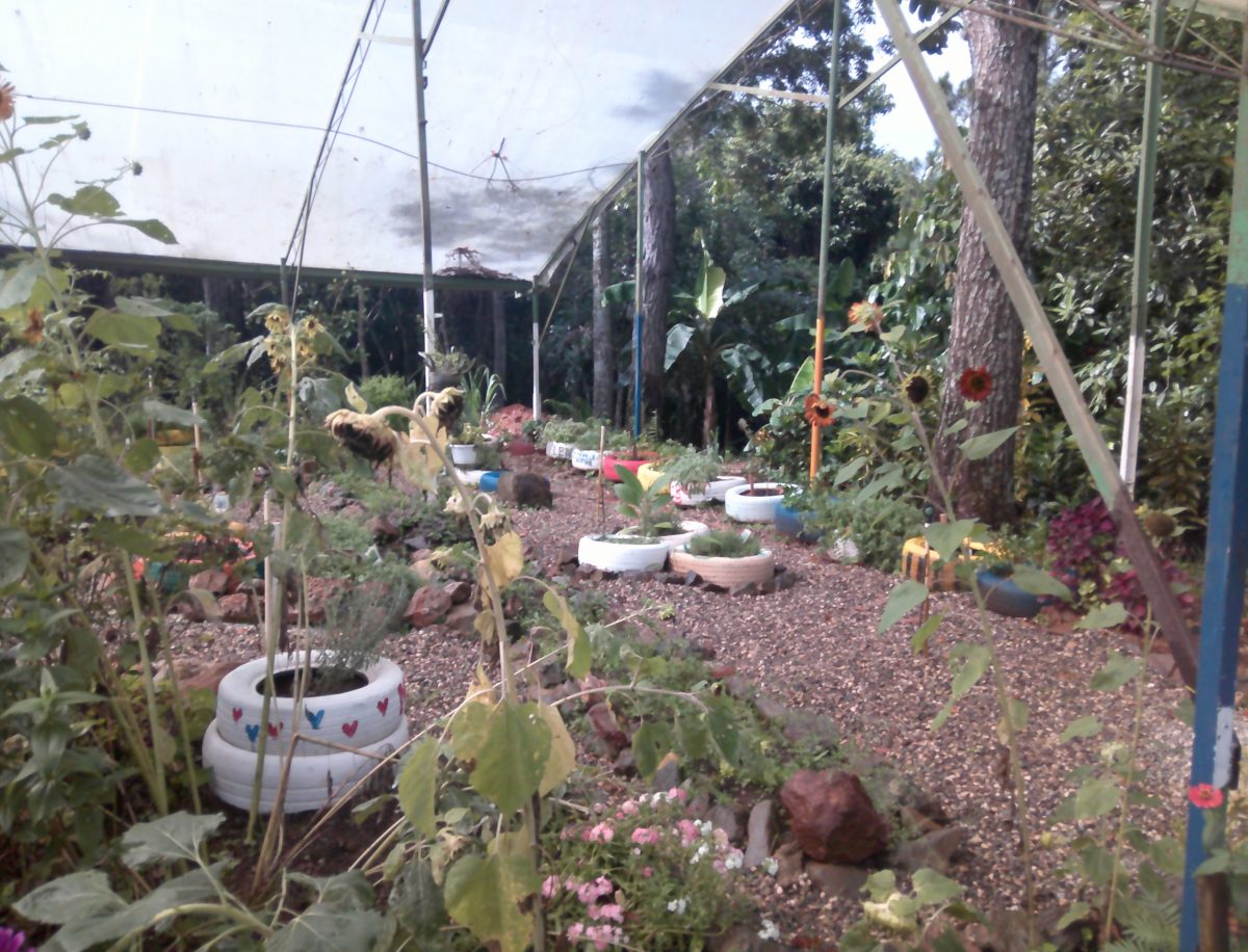 In the Ites Marena Estudios Superiores en Medio Ambiente y Recursos Naturales in Jarabacoa, Dominican Republic, they'd use old tires to section off plants in gardens. This was apart of their mission to teach locals how they can make use of trash that'd otherwise contribute to pollution.