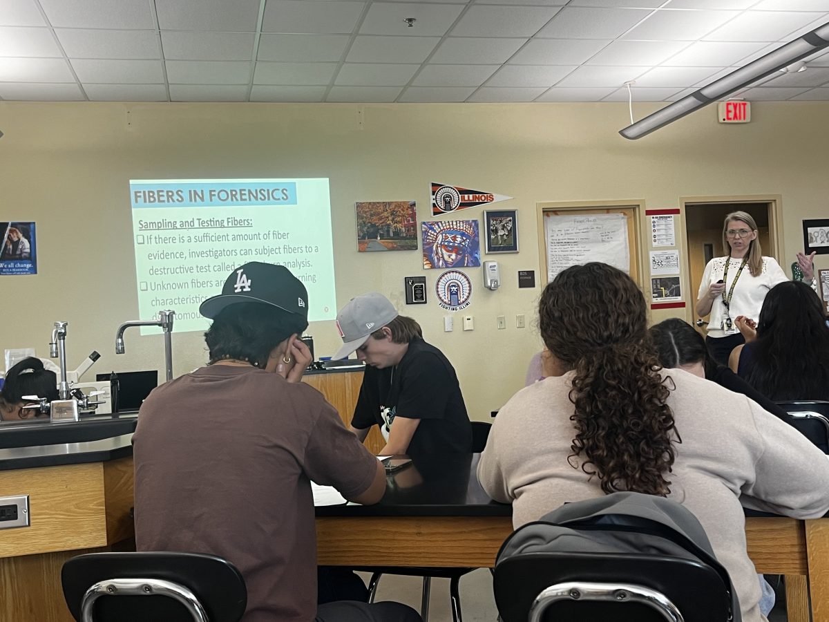 Mrs. Sherman teaches a lesson on fibers, while students take notes. 