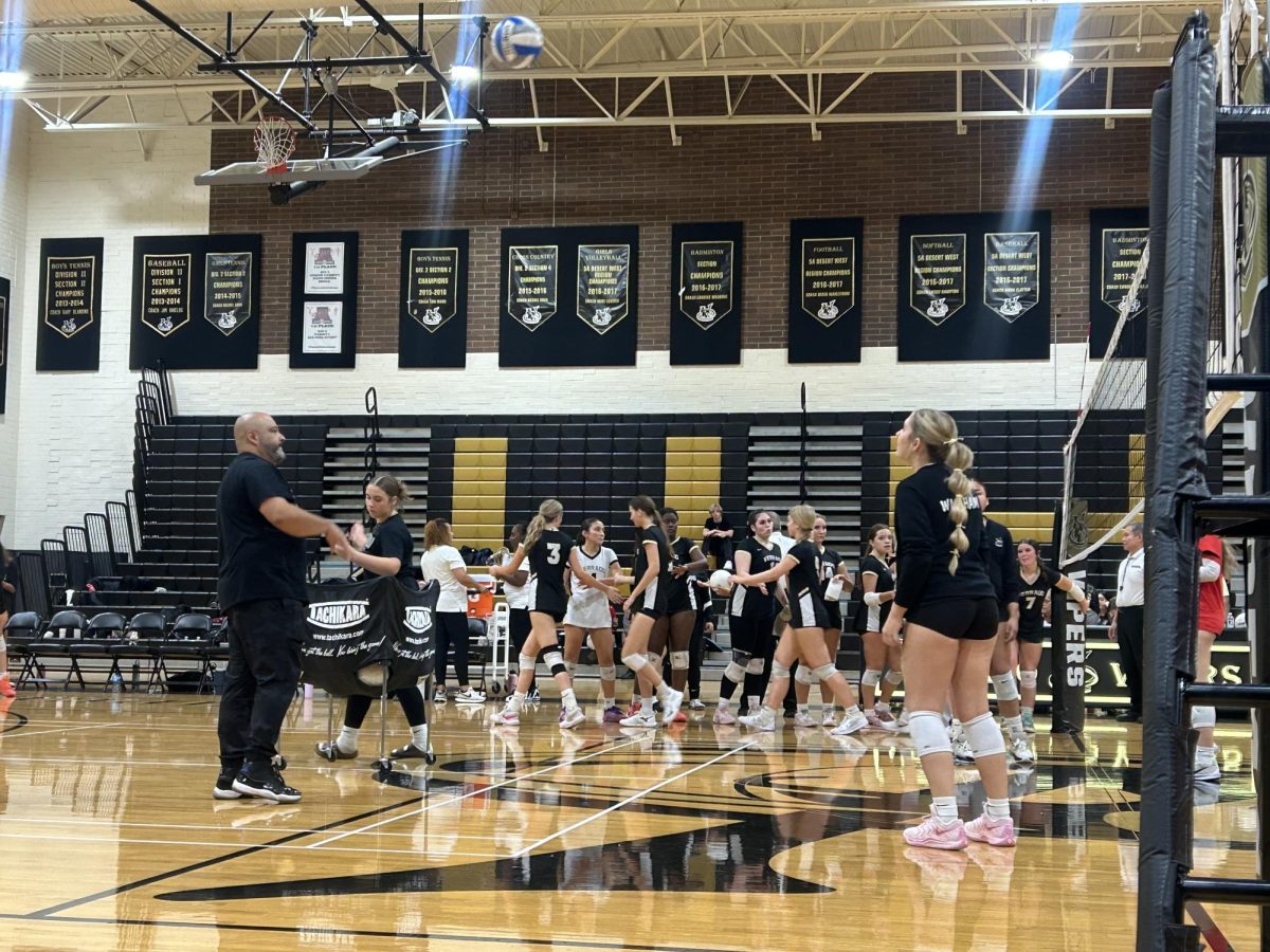 Vipers getting some shots up before their game.