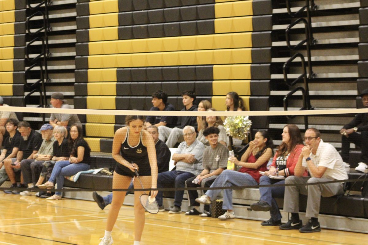 Viper Girls Badminton playing during senior night in the VHS gymnasium