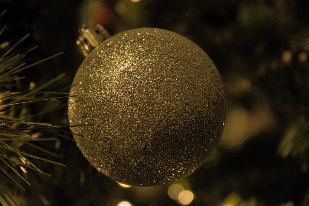 An ornament of Jacob's tree that has been around since 2009.