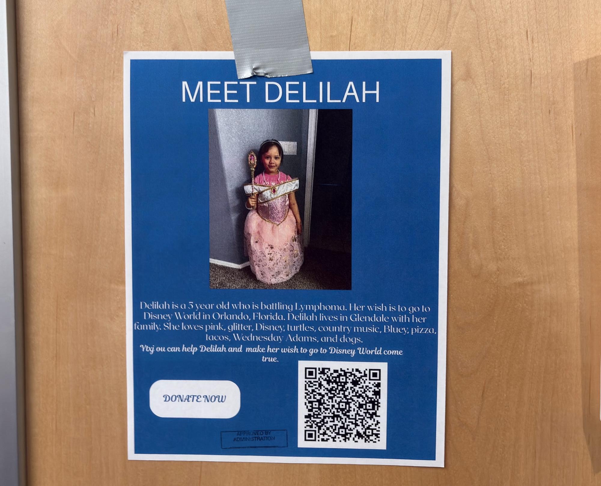 Photo of Delilah who is strugging with Lymphoma. Her wish is to be able to go to Disney World.