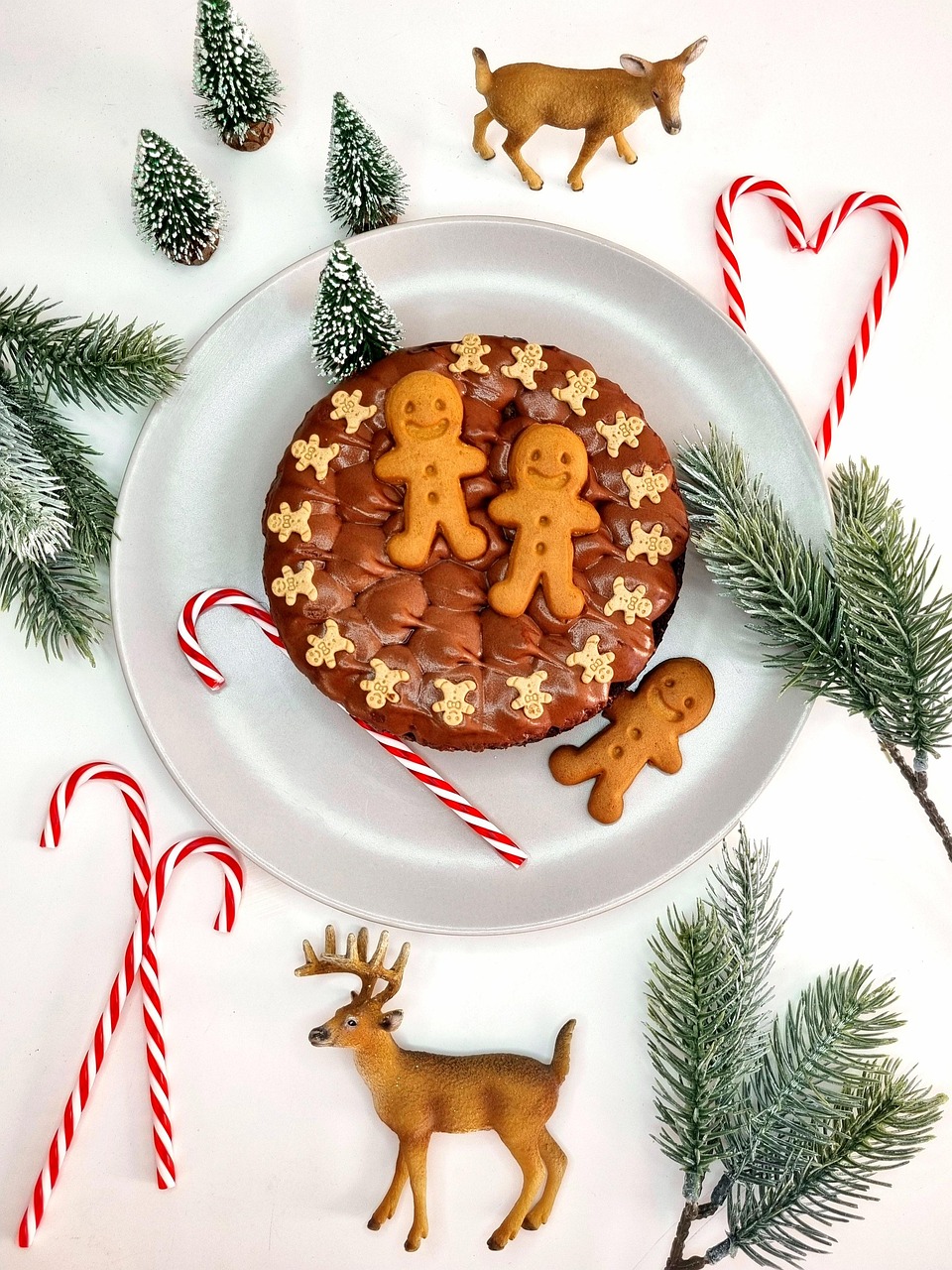 https://pixabay.com/photos/cake-chocolate-cake-christmas-9105466/