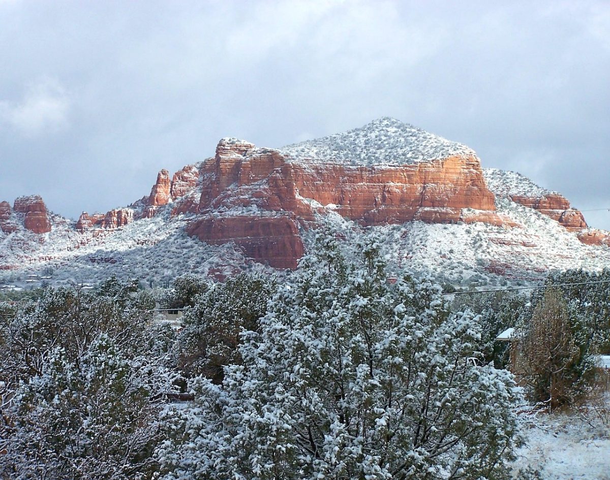 Image by Kate McGahan from Pixabay