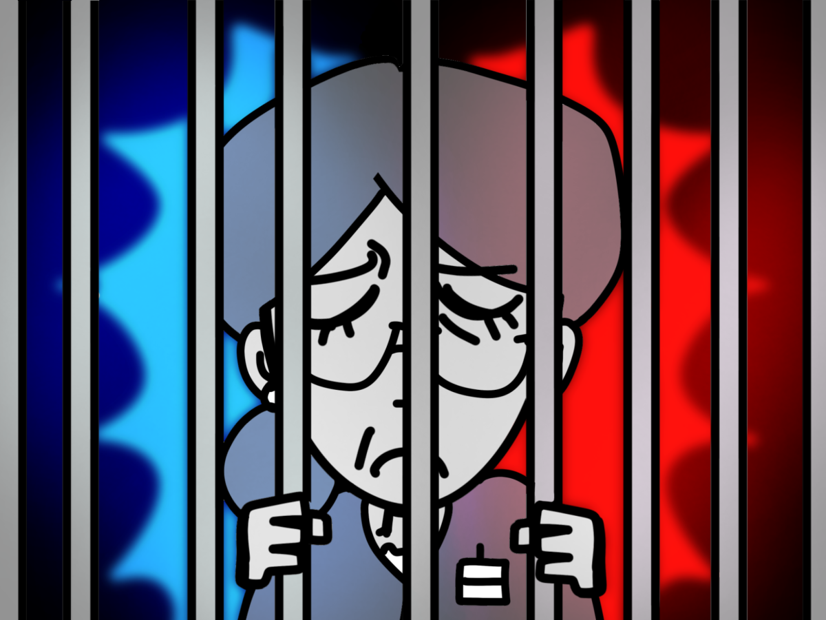 Are Librarians going to be arrested for having banned books on the shelves? Some Arizona lawmakers want to see this happen.  (Hannah Bruce)